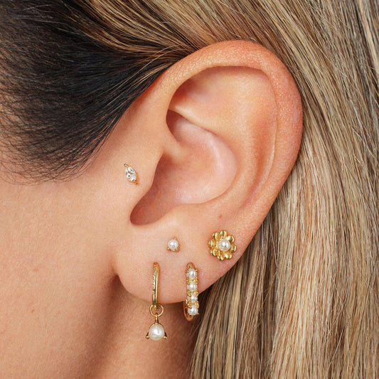 Gold Earrings 001-425-00490 14KY - Gold Earrings, P.J. Rossi Jewelers