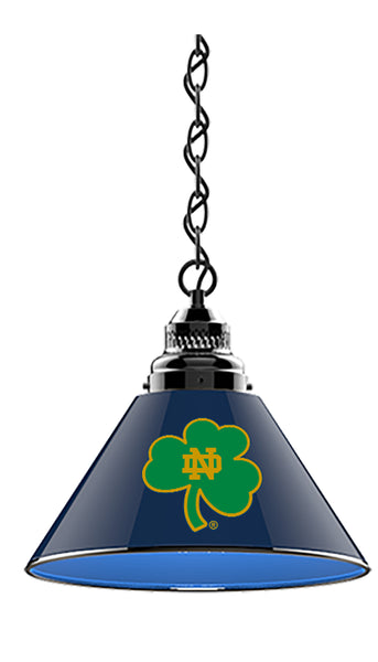 notre dame billiard light