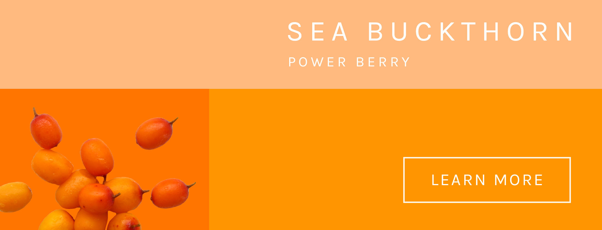 Swell Skin Sea Buckthorn Information - Learn More