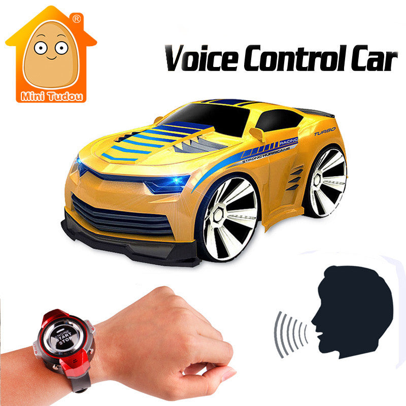 voice controlled rc car with smartwatch