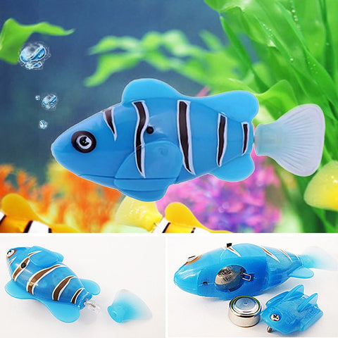 aquatic pet shop