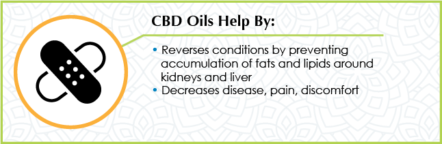 CBD oil can repair damaged organ tissues