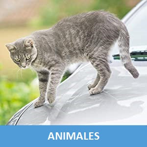 Protege tu auto o camioneta contra los animales con funda cobertor