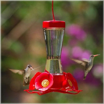 Ibird Bird Feeders Canada Ibirdcanada