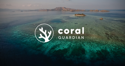 Unsere Partnerschaft mit Coral Guardian