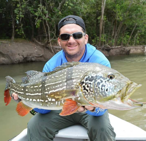 Predator Peacock Bass on Fly