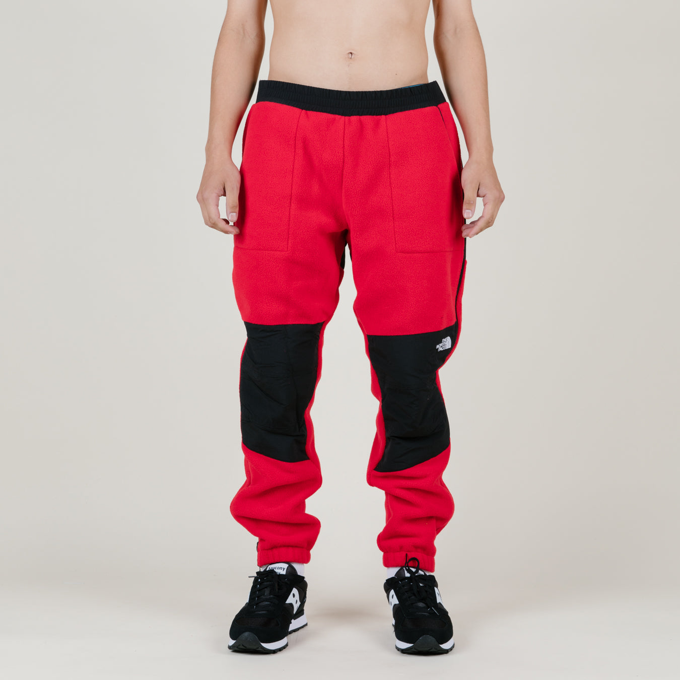 the north face denali pants