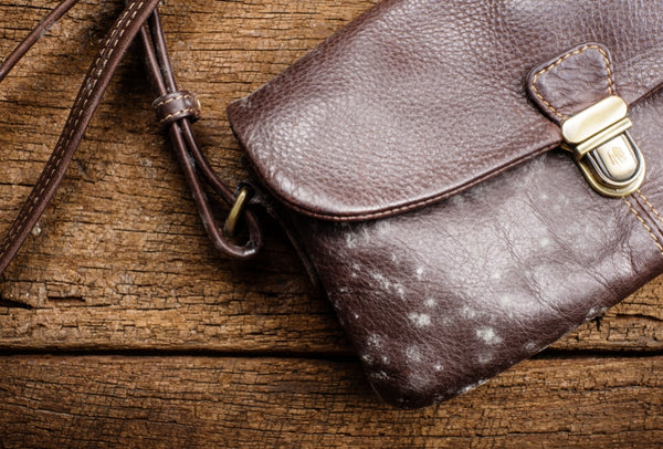 how to remove stains from leather purses and bags