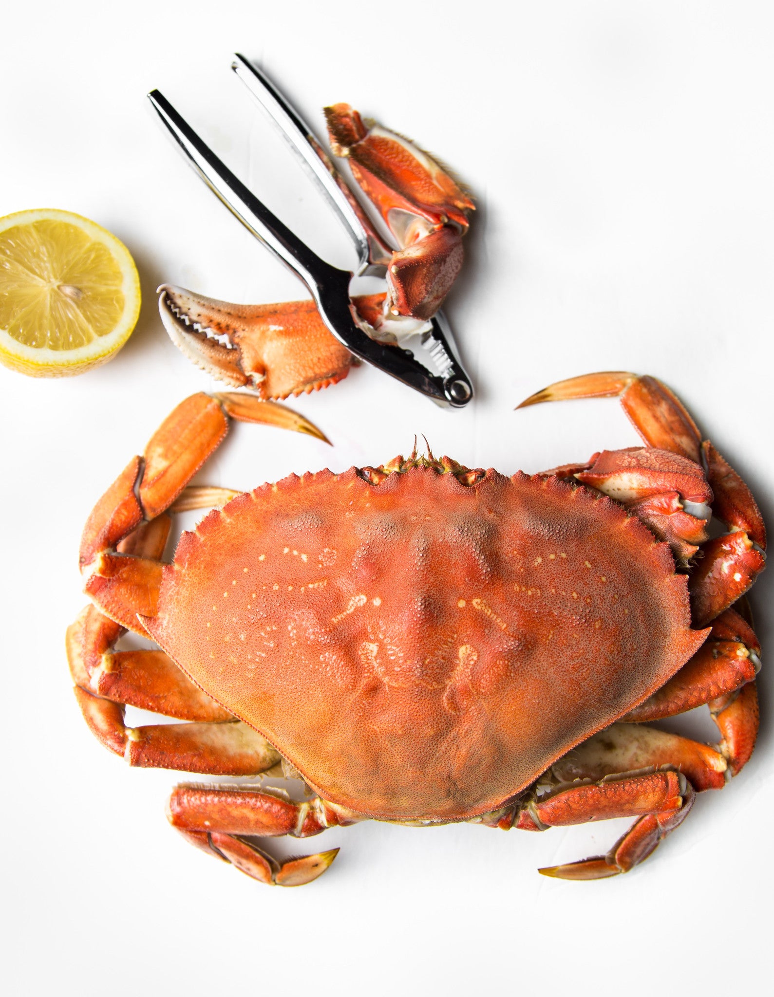 Cooked Dungeness Crab | The Lobster Man