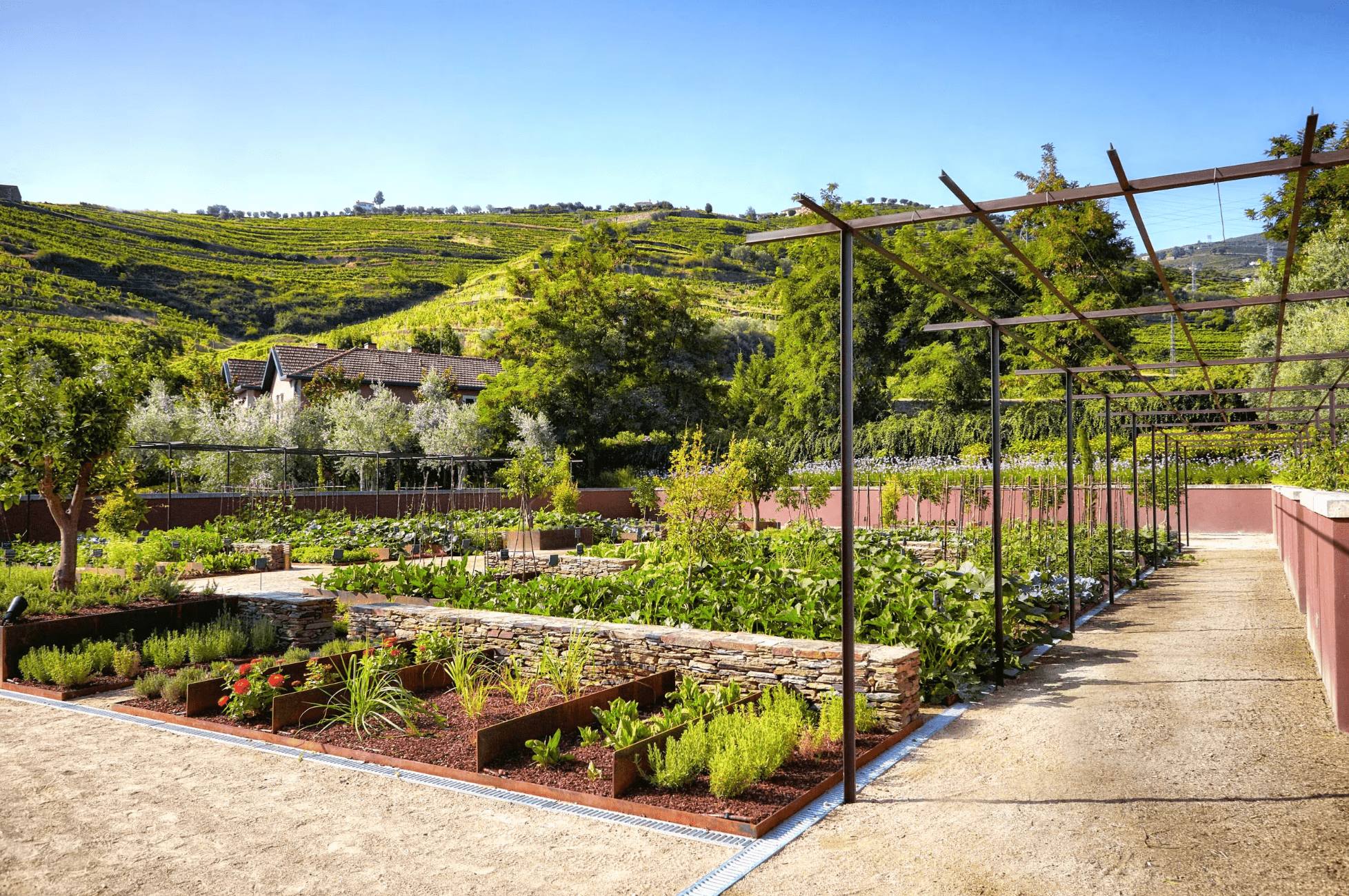 Potager écolo