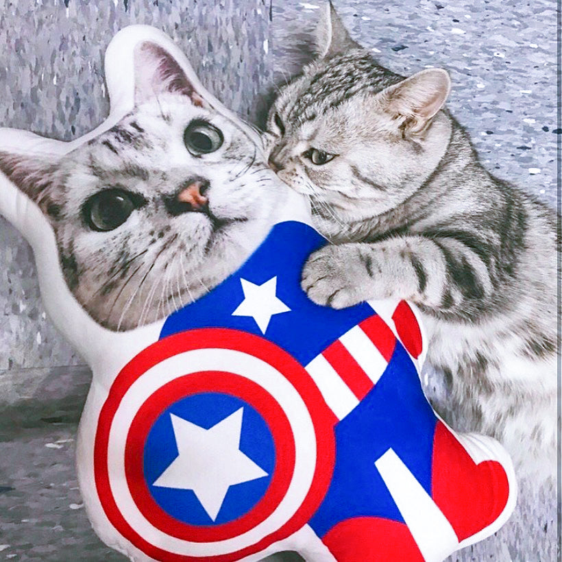 cat_superhero_pillow