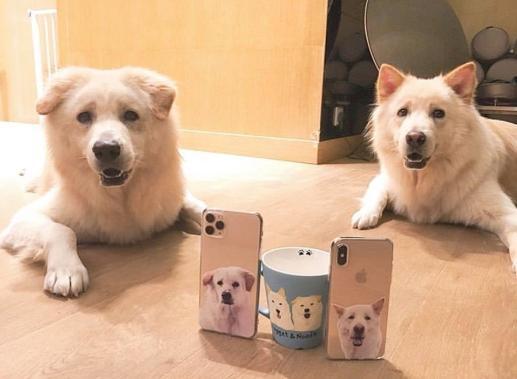 Custom Your Own Pet Phone Case | GoMine