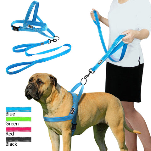 dog harness and leash combo