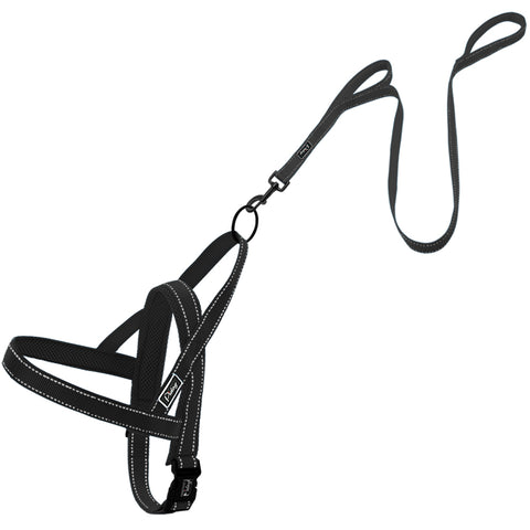 dog harness and leash combo