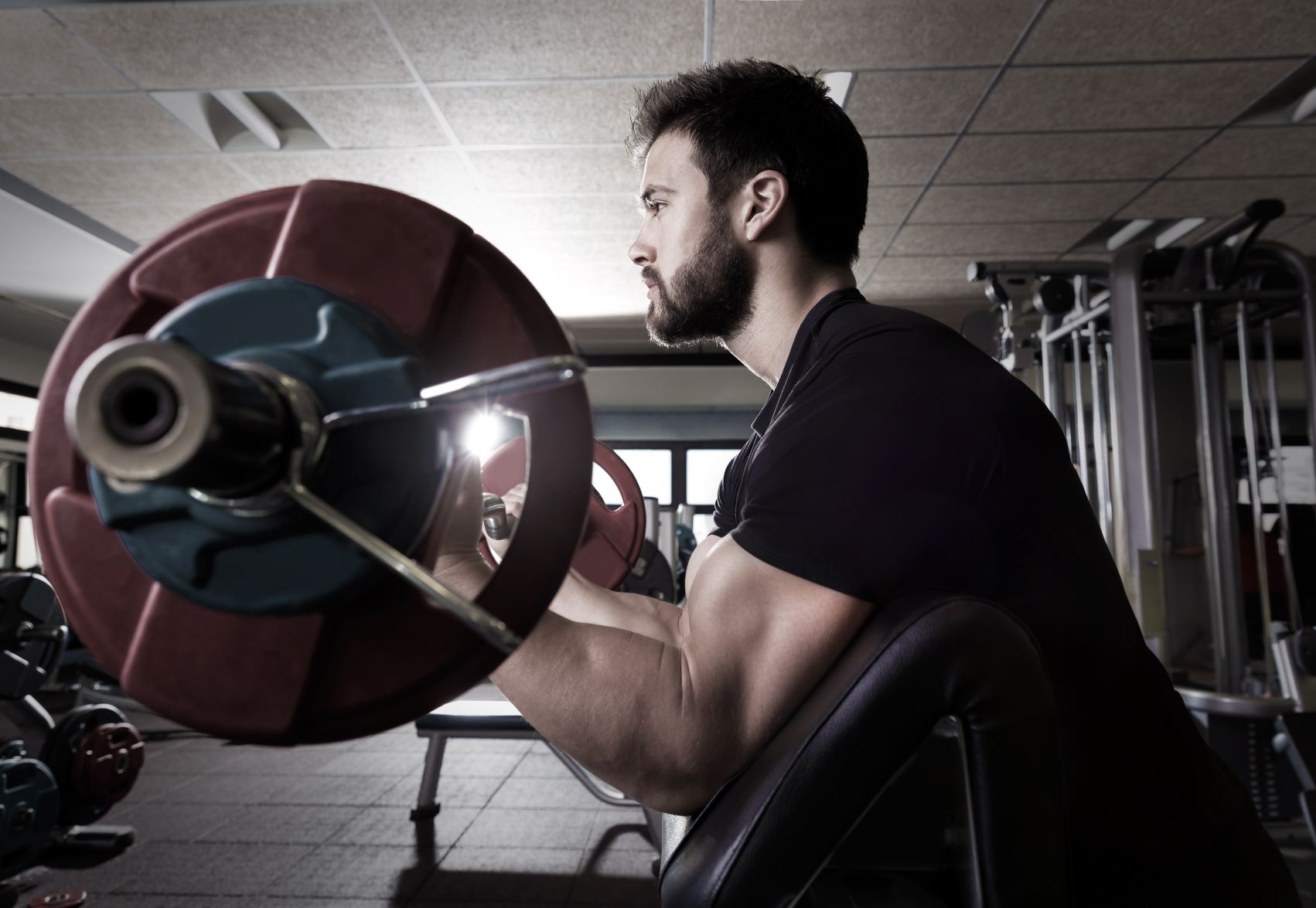 preacher curls muscles worked