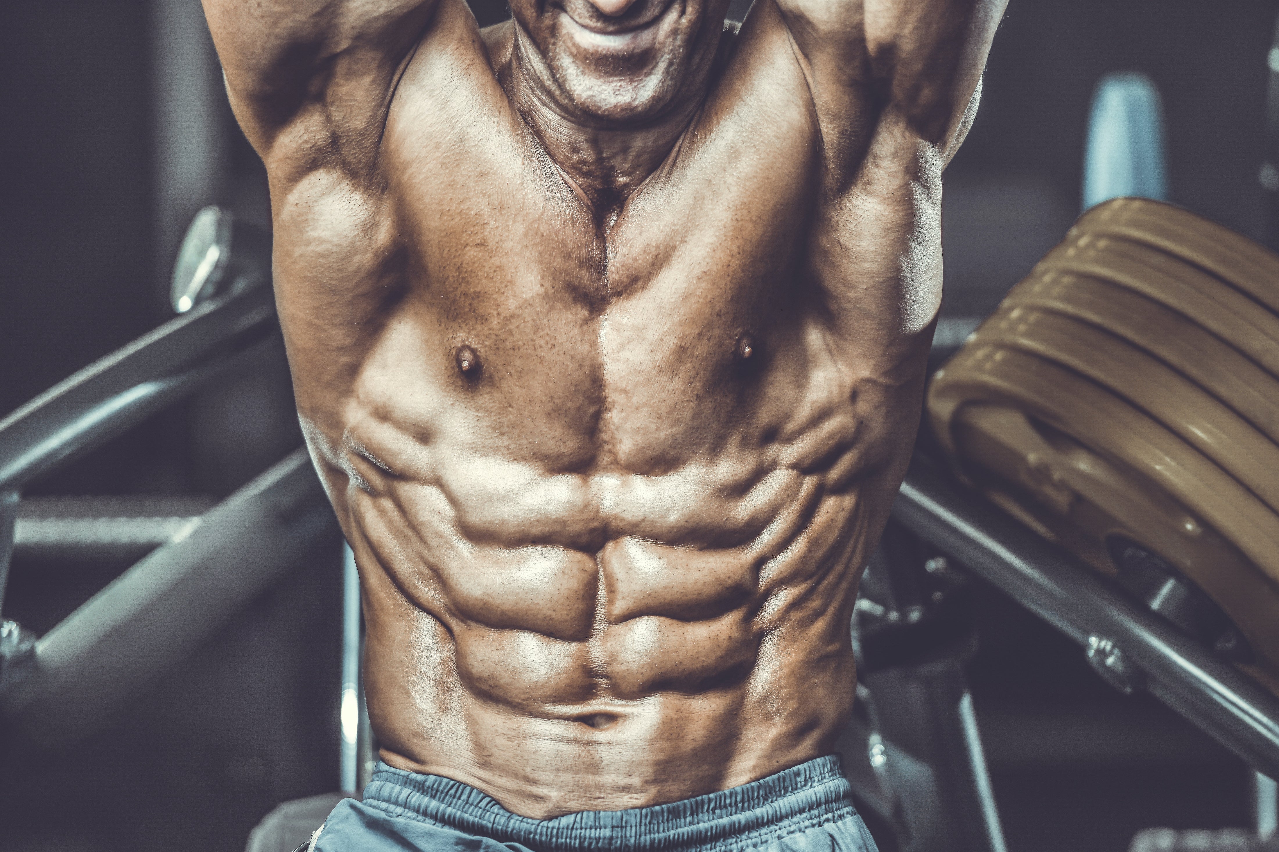 4 Pack vs 6 Pack vs 8 Pack Abs Explained Steel Supplements