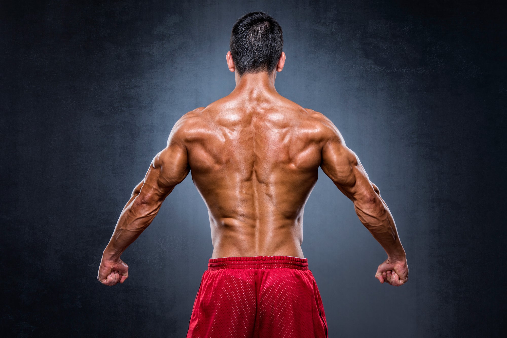 Bodyweight Back Exercises for Building a Strong Back - Steel Supplements