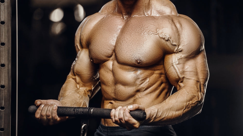 Best Bicep to Warm Up Your Upper Body - Steel Supplements