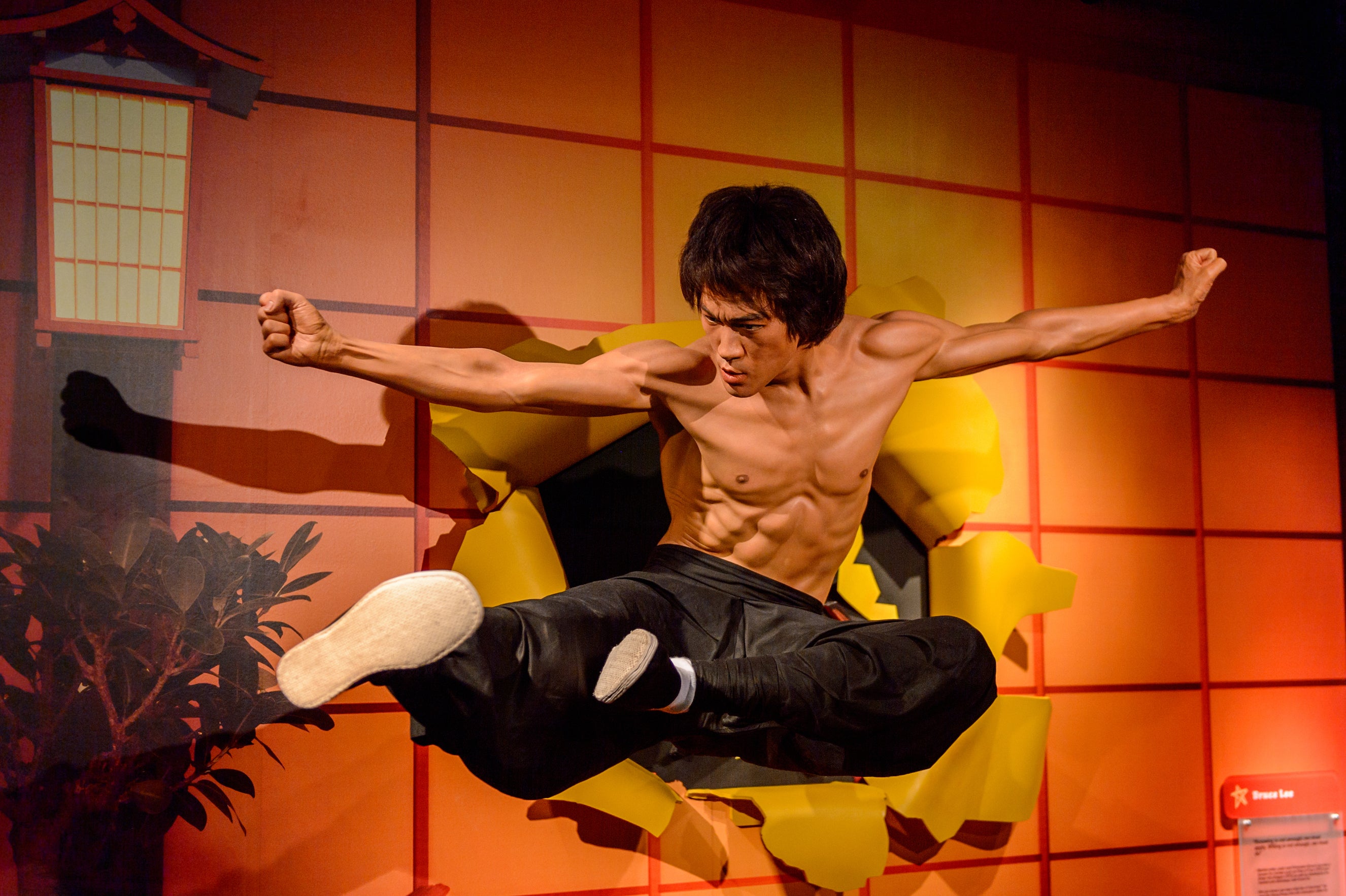 Bruce Lee's Workout Routine & Diet Plan - Steel Supplements