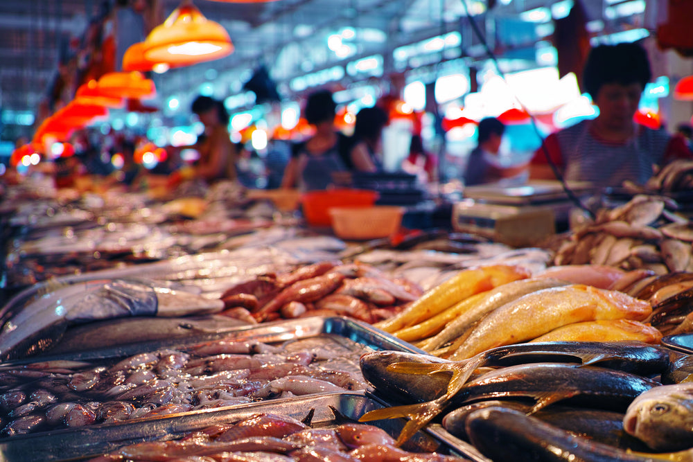 Local fresh fish market