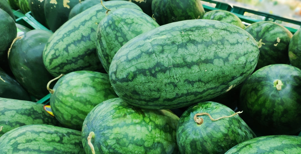 organically grown watermelons