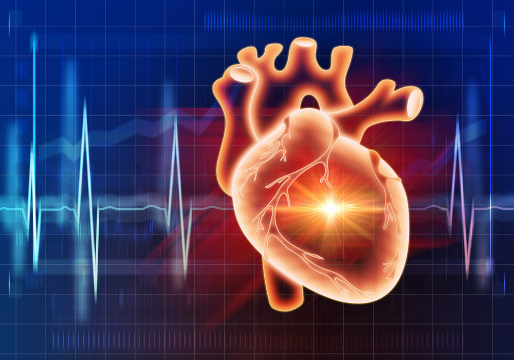 Healthy Heart – Image from Shutterstock