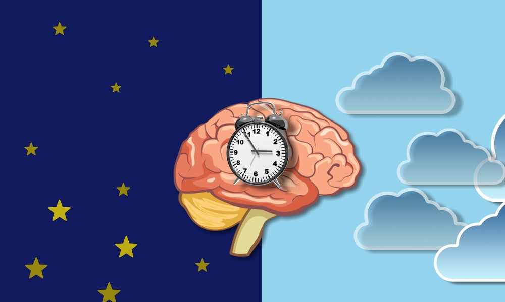 Circadian Rhythm day and night