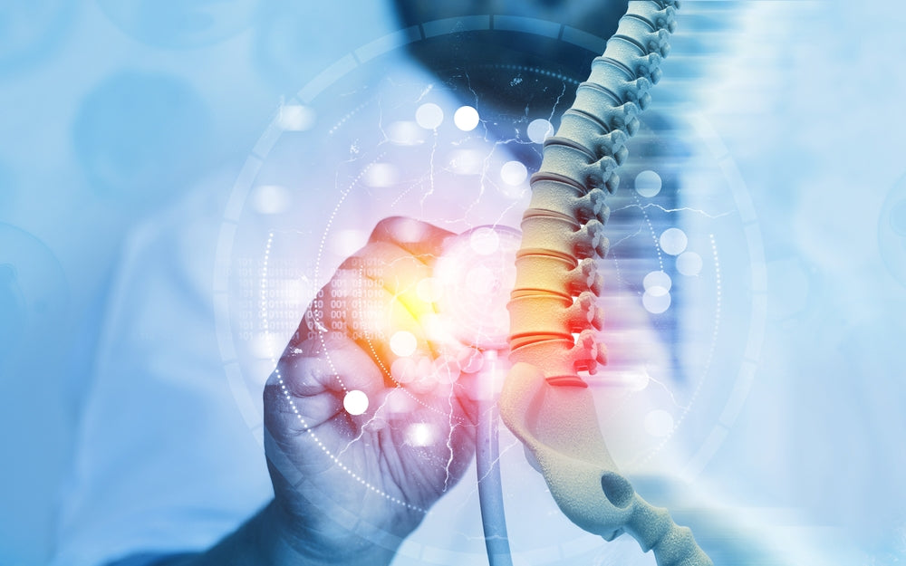 Spinal Column Damage - Image from Shutterstock