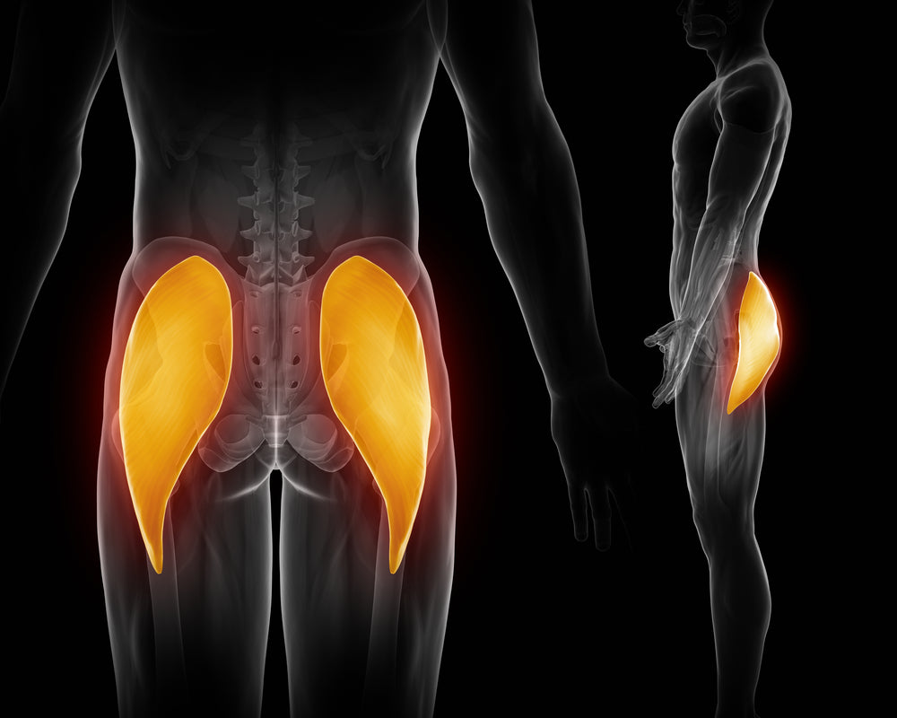 Glutes – Image from Shutterstock