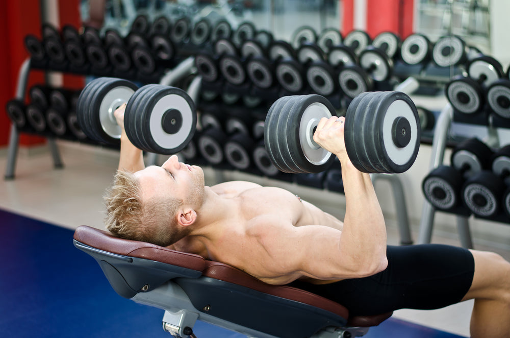Dumbbell Incline Curl – Image from Shutterstock
