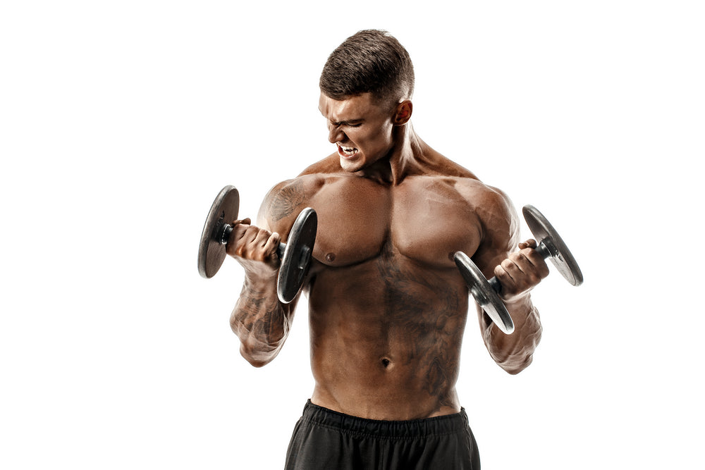 Dumbbell Supinated Curl – Image from Shutterstock