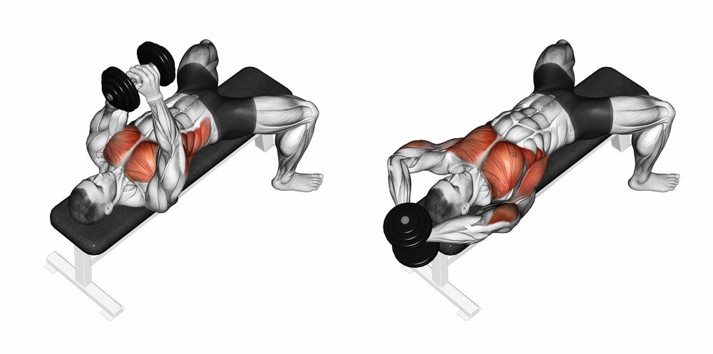 How to Do Dumbbell Pullovers (Form & Muscles Worked) - Steel Supplements