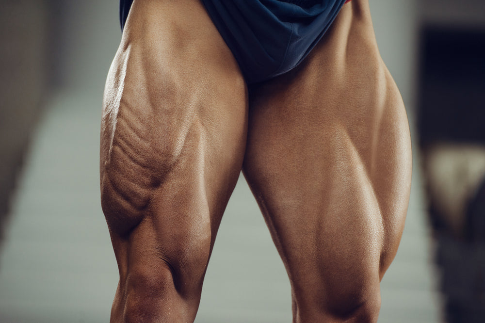 Quadriceps – Image from Shutterstock