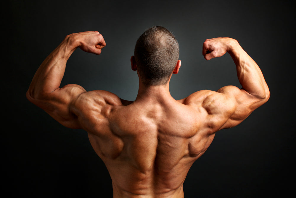 Strong upper-back muscles – Image from Shutterstock