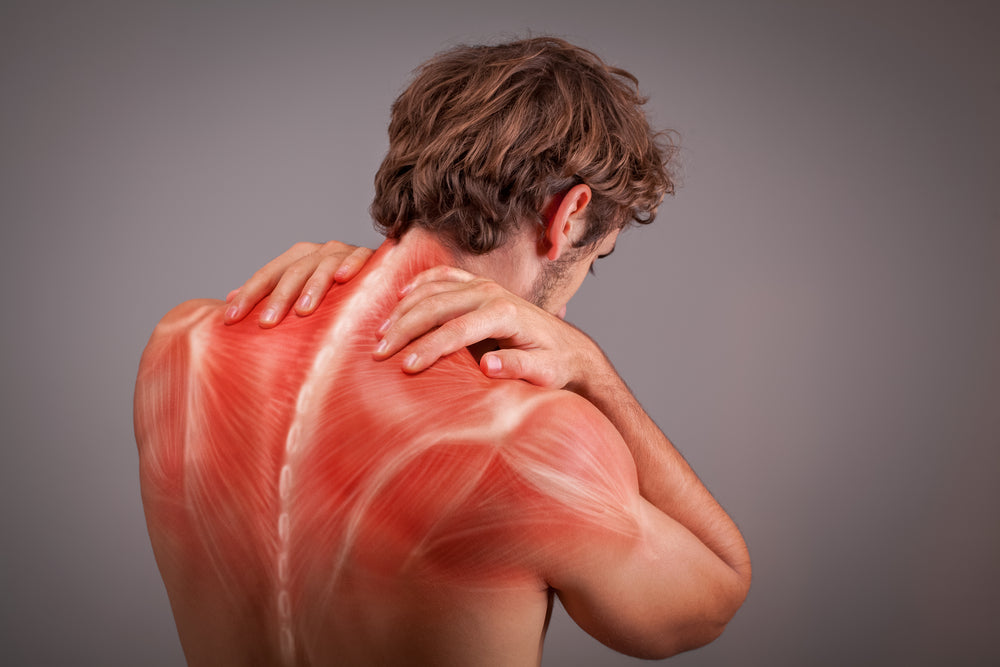 Muscle Cramps - Image from Shutterstock