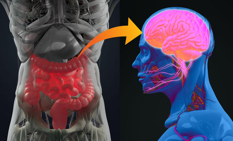 Gut Biome