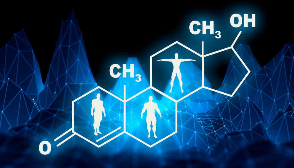 Hormone production and training to failure