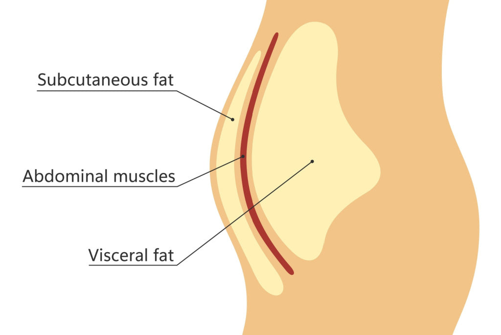 Types of body fat