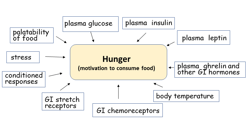 Satiety Index