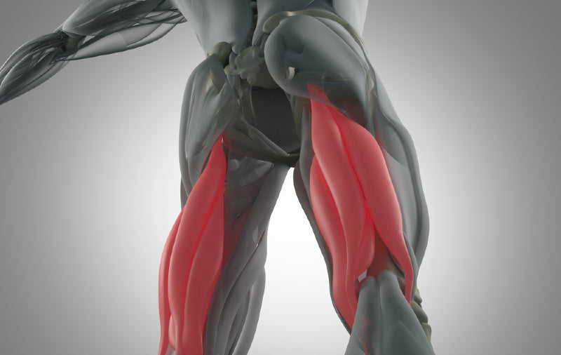 Hamstrings - Image from Shutterstock