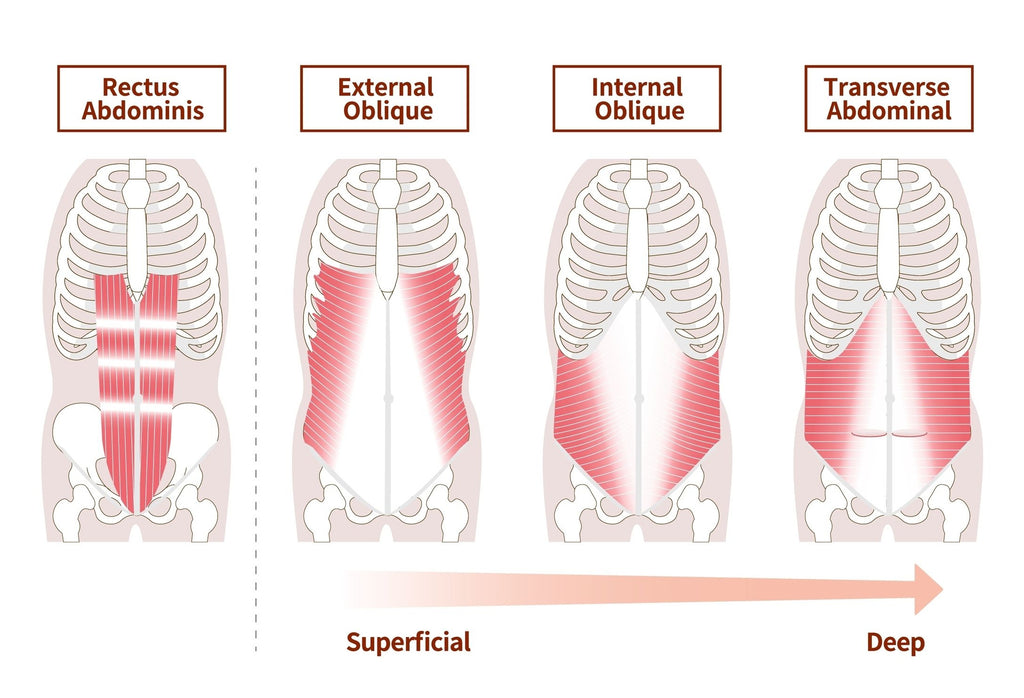 Core Muscles - Image from Shutterstock