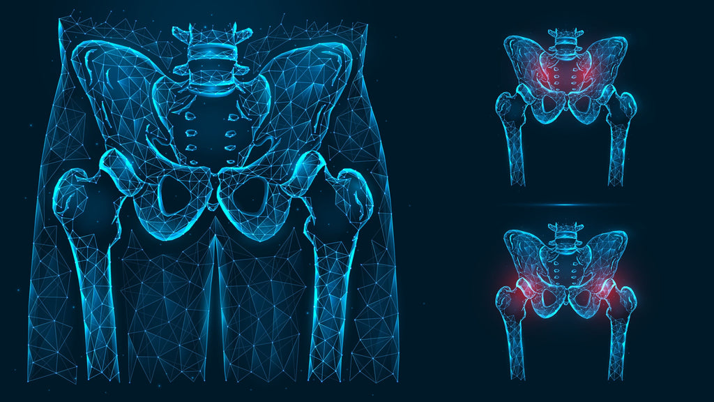 Hip Joint -  Image from Shutterstock