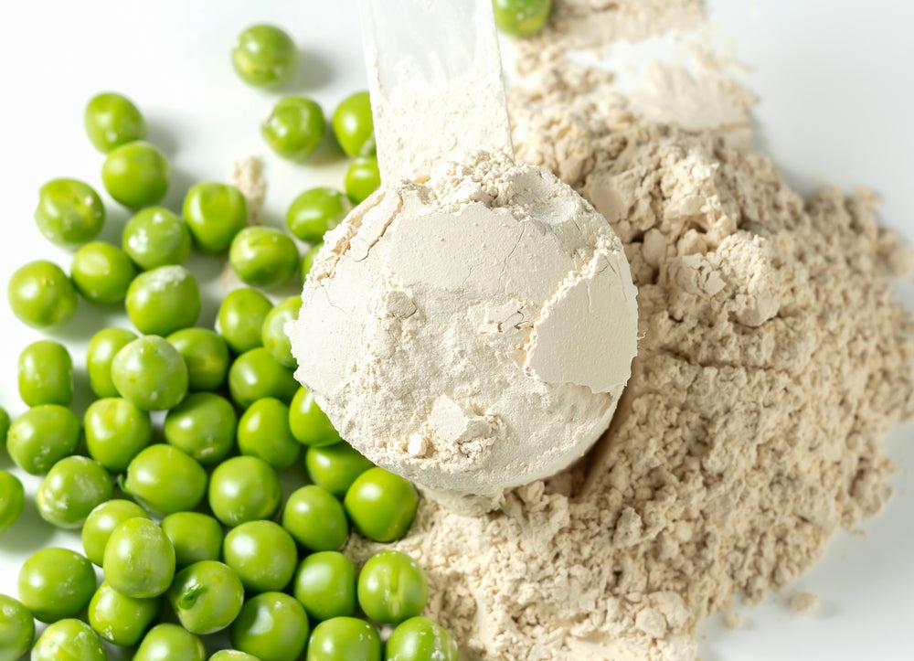 Plant-based Pea Protein Powder