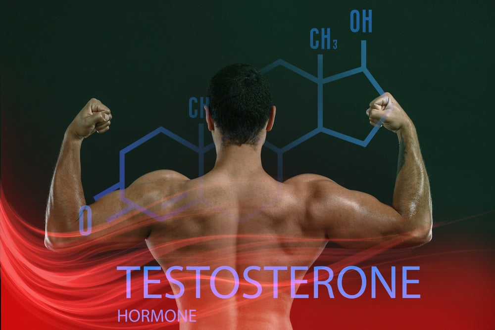 Testosterone