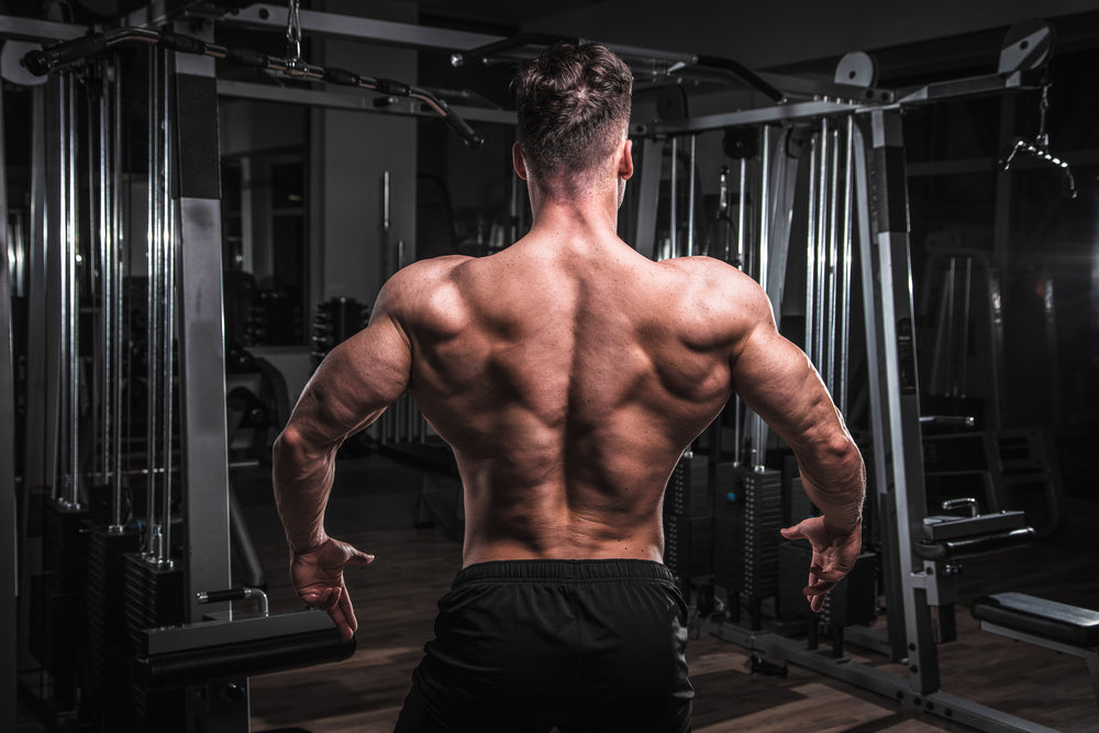 Steel Supplements Smith Machine Man Back Muscles Image from shutterstock