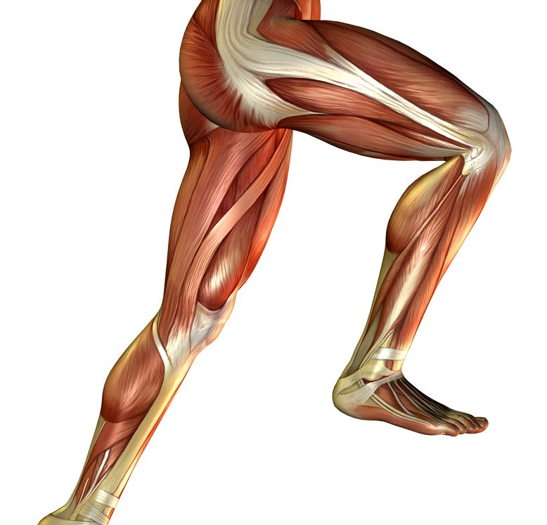 Stairmaster muscles used - Image from Shutterstock