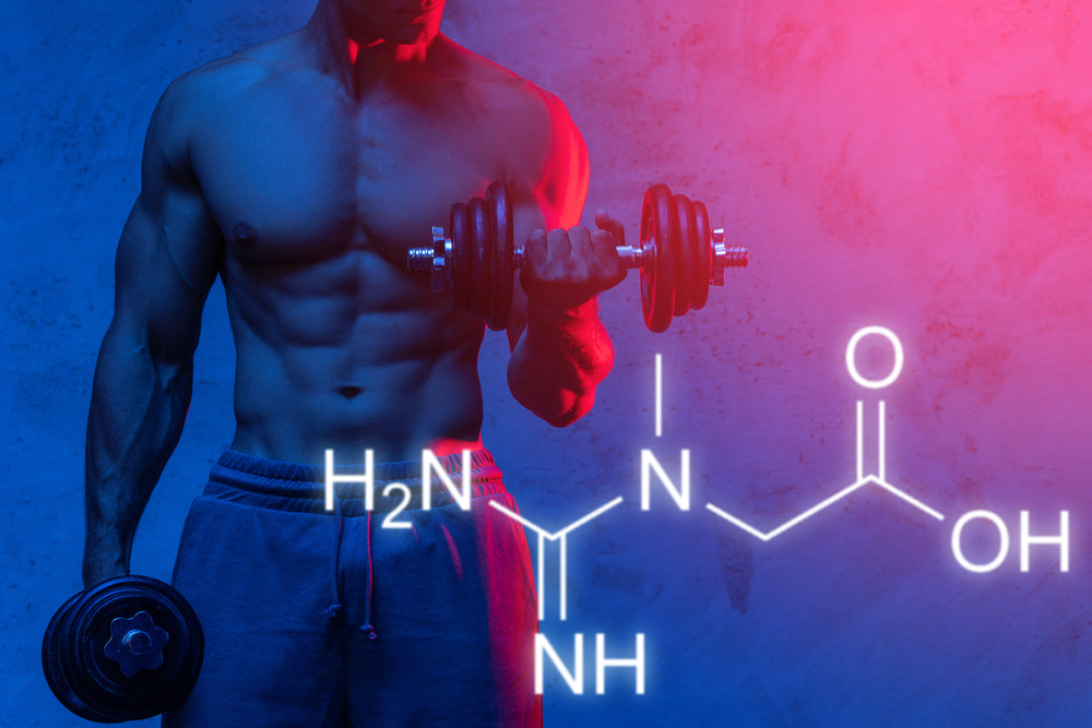 Creatine – Image from Shutterstock