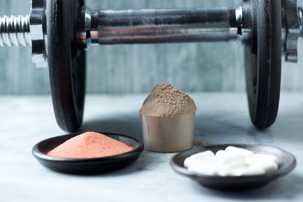 Beta-Alanine Supplements – Image from Shutterstock
