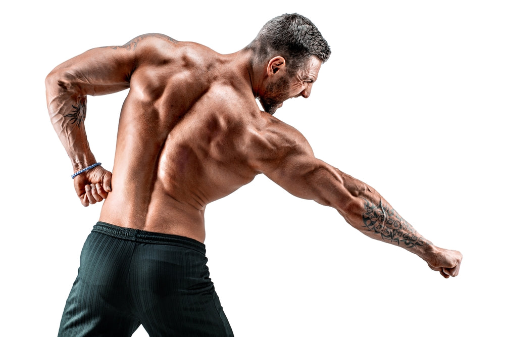 The Best Triceps Stretches for Before and After Workouts - Steel Supplements