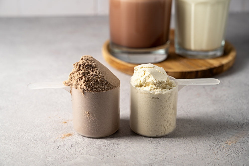 Whey Protein Powder